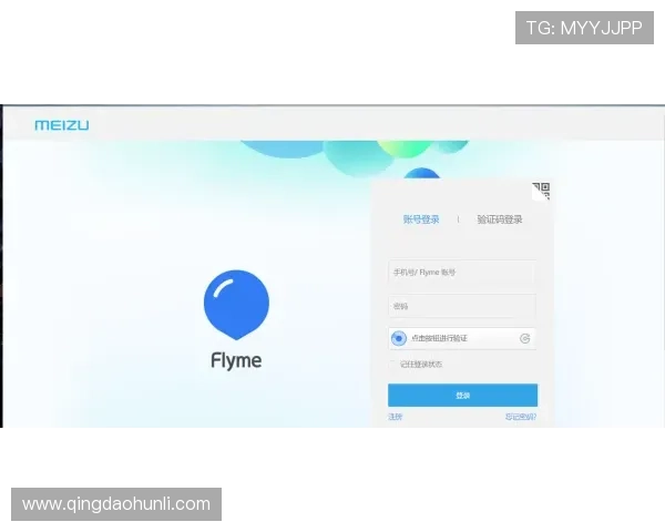 开云app登录安全提示：保护个人账户信息的实用技巧分享