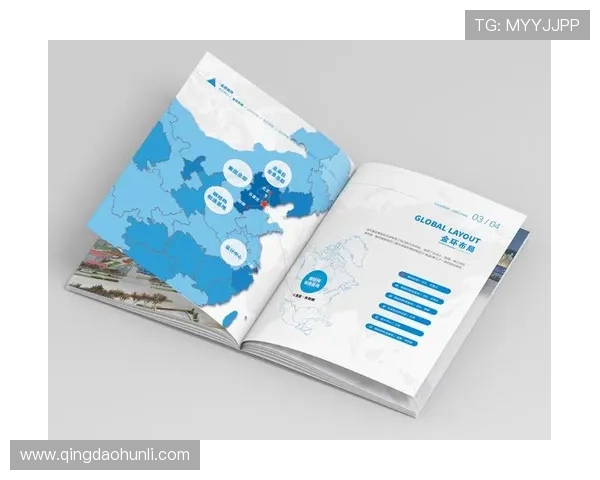 开云平台网页版界面功能布局与操作技巧,提升操作效率