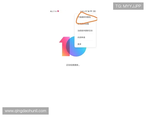 获取问鼎国际下载地址的详细步骤与注意事项,确保顺利安装体验